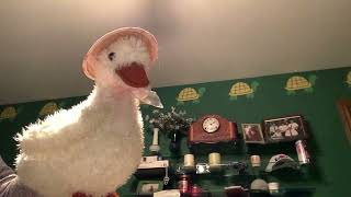 (New Years eve special)  duckson becomes president of duckland