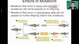 Mutations