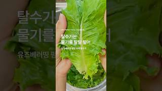 탈수기는 물기를 탈탈 털어 #유즈베러띵 #펌핑야채탈수기