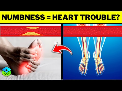 LISTEN TO YOUR BODY - If Your Blood Circulation is Poor, You Need to Fix It