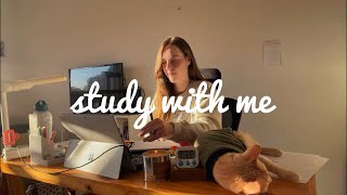 STUDY WITH ME | ESTUDE COMIGO