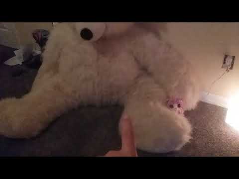 THE LARGEST BEAR