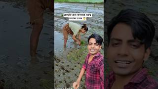 মেয়েটা ধান লাগানো দেখে অবাক হবেন 😱 #shorts #youtubeshorts #viralvideo