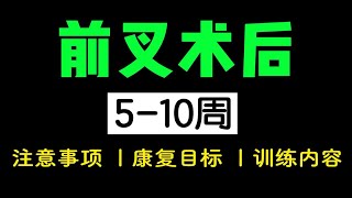 前交叉韧带重建术后 5-10周康复训练计划（注意事项+康复目标+训练内容）