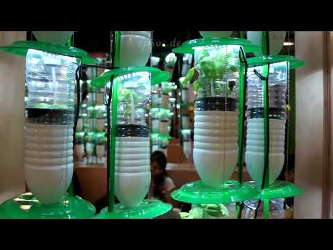 DIY How to Make Indoor Vertical Garden