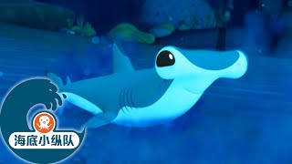 海底小纵队 - 🦈 锤头鲨宝宝大救援 ⛑️ | 集完整版