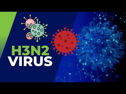 What's the Difference Between H3N2 and the Corona Virus?
