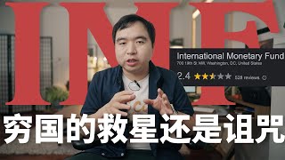 国家破产危机中的IMF是个什么组织?为啥被救助国的人民讨厌IMF? 它是债务危机的救星还是元凶?一个视频看懂IMF的前世今生(布林顿森林,穷国的"原罪",世界经济秩序)
