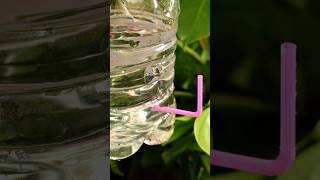 Genius Camping Hack: Turn a Bottle and Straw into a Mini Hand Washer! 🚿🌿#shorts#camping