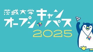 茨城大学OC2025【人文社会科学部】説明会