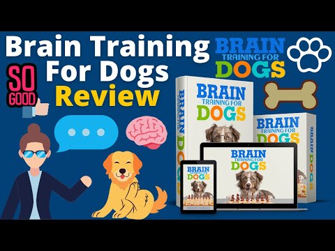 Brain Training For Dogs Review - The Best Doggy Program To Teach An Old Dog New Tricks!