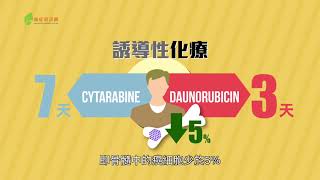 急性骨髓性白血病AML