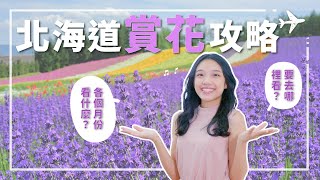 北海道 賞花攻略，各個月份看什麼？要去哪裡看？日本旅遊｜北海道旅遊｜北海道 賞花｜賞花攻略 #北海道 賞花 #芝櫻 #賞楓