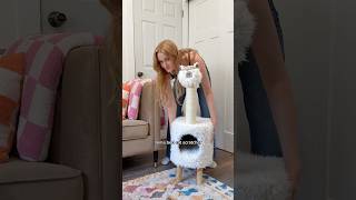 My Cats Ordered Their Own Toys🦙#shorts #pets #cats #sphynx @Chewy #ad