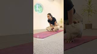 🔥 let's try this challenge 🔥 Kukkutasana #fitness #workout  #yoga #yogafit #fit  #yogameditation