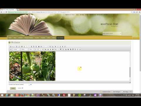 Easy Page Editing with mojoPortal CMS