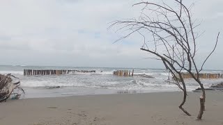 中南部沿海20具浮屍 尚未發現與人口販運相關｜20230330 公視晚間新聞