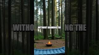 Transforming Your Camping Setup with Eco-Friendly Gear