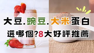 大豆蛋白、豌豆蛋白、大米蛋白比較?植物蛋白粉8大好評推薦!乳糖不耐好選擇!