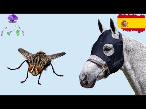 Caballos con mascarillas y moscas pesadas | Vlog en Español