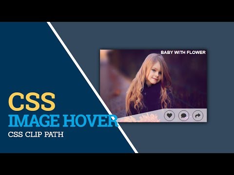 CSS Image Hover Effect - CSS Clip Path Hover