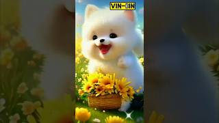 cute cats #vir🫣alvideo👑 #vira💝lshort💝 #shorts #viral#🫀cut💝ecats #💓catlo🫣vers❤️‍🩹