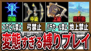 【初級～超厄災級】縛りプレイが鬼畜すぎた件について【ゼルダの伝説ティアーズオブザキングダム】