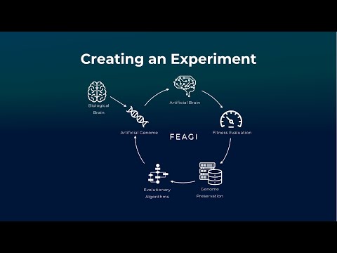 Creating An Experiment - Neurorobotics Studio Tutorial