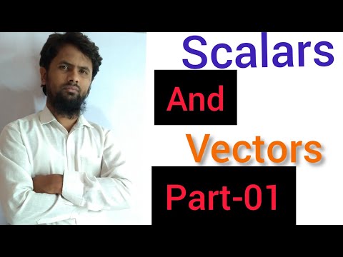 scalars and vectors