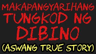 MAKAPANGYARIHANG TUNGKOD NG DIBINO (Aswang True Story)