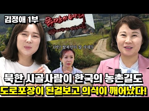 [김정애 1부]북한 시골사람이 농촌길도 도로포장이 된걸보고 의식이 깨어났다!