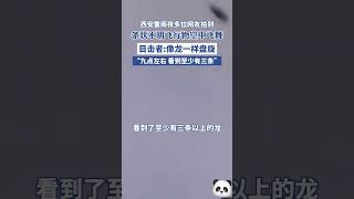 西安雷雨夜多位網友拍到條狀不明飛行物空中飛舞，目擊者稱其像龍一樣盤旋，九點左右，看到至少有三條。#shorts #china #DynamicChina