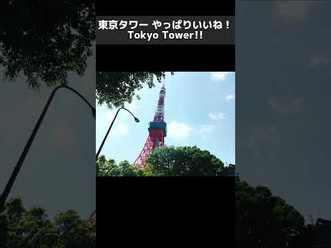 東京タワーの見えるカフェ #オーガニックカフェ #東京タワー #tokyotower #cafe #低カロリー #shorts