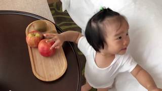The Westin Tashee Resort 桃園威斯汀