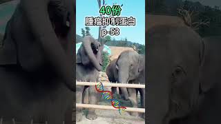 TOP5 讓人訝異的動物冷知識  🐘  2023 #short #tiktokanimals #驚奇