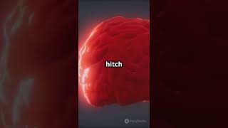 🧠 Brain Microbiome: How Bacteria in Your Brain Might Affect Your Behavior