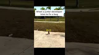 #juniordeveloper #programmingmemes #ithumor #programmingmeme #programminghumor #itmemes #memes