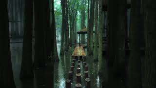 #China #ExploreChina #ChinaTravel #VisitChina #DiscoverChina #AmazingChina #ChinaNature #ChinaCities
