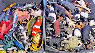 200 Sea Animals & Wild Animals - Blobfish, Howler Monkey, Sloth, Hippo, Starfish, Seahorse