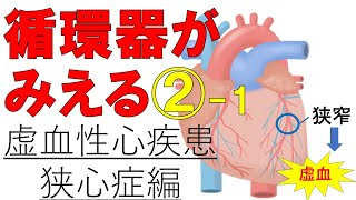 【狭心症】虚血性心疾患①　狭心症の種類と治療薬　医療系学生必見！