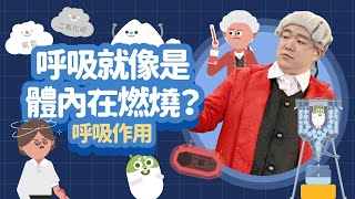 【科學家的故事-拉瓦節】呼吸就像是體內在燃燒？｜呼吸作用｜LIS情境科學教材
