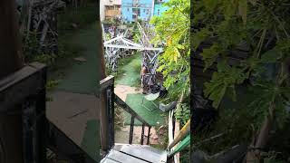 香港坪洲秘密花園