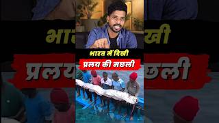 Oarfish spotted in India 🫨 Doomsday Fish #ytshorts  #trending #shortsfeed #oarfish #newsupdate