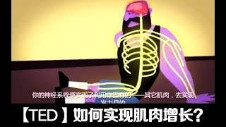【TED】如何实现肌肉增长？健身知识科普