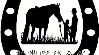 新豐鳳坑，新豐野騎會所，騎馬的好去處!