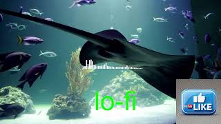 "마음을 리셋하는 아침, 로파이 (lo-fi)음악 스트리밍 중 Lofi Vibes for a Fresh Beginning"