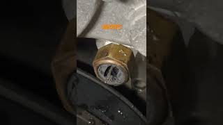#chevrolet #impalass #lt1 #youtubeshorts