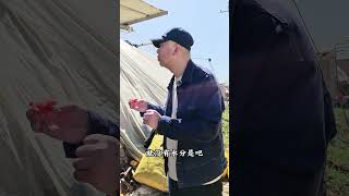 抖音助农 三农 源头好货