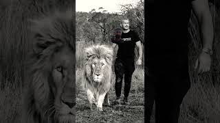 #lion #lionking #wildlife #vikings #animals #foryou #wildlifefight #lionlife