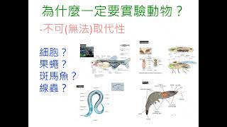 1140707分析及其於轉譯醫學的應用動物實驗設計及替代方案介紹-連韋雄